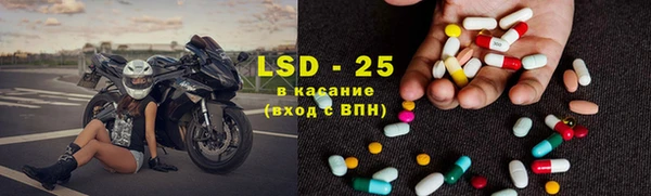 индика Баксан