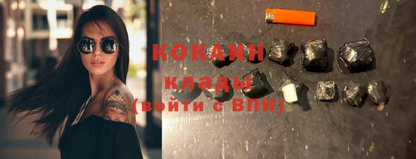 индика Баксан