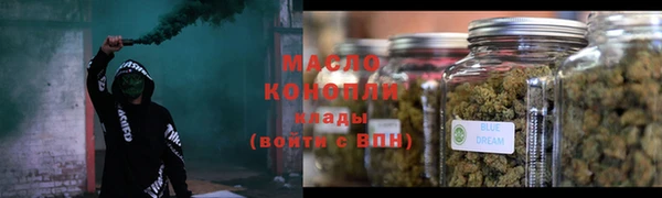 индика Баксан