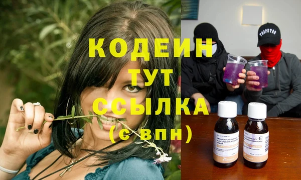 индика Баксан