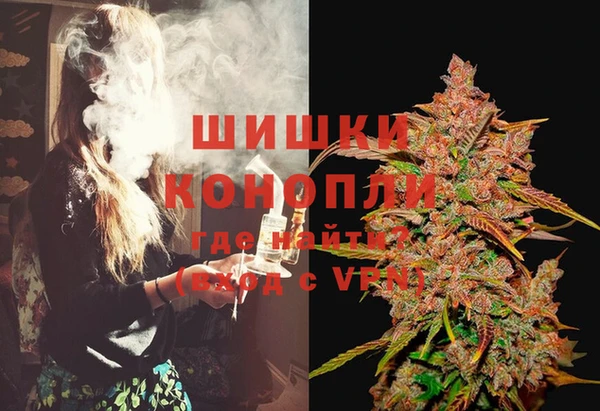 индика Баксан