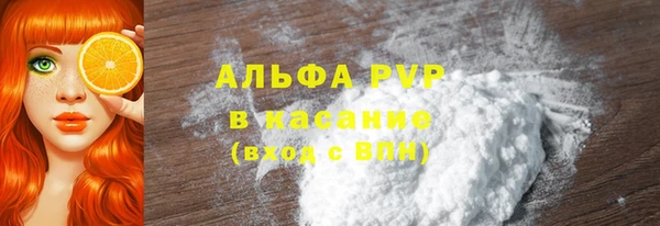 индика Баксан