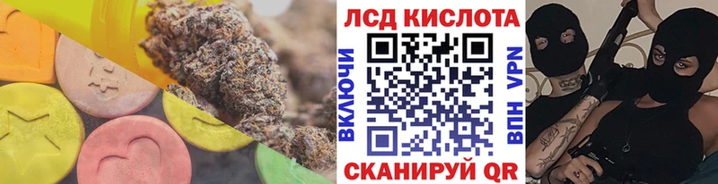 где можно купить   Ленинск-Кузнецкий  дарк нет наркотические препараты  Лсд 25 экстази ecstasy 